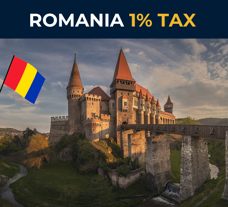 romania microcompanies