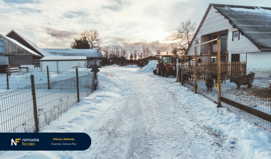 Paseo marítimo de Pärnu en Estonia – destino ideal para e-residentes y emprendedores digitales gracias al entorno fiscal favorable del país.