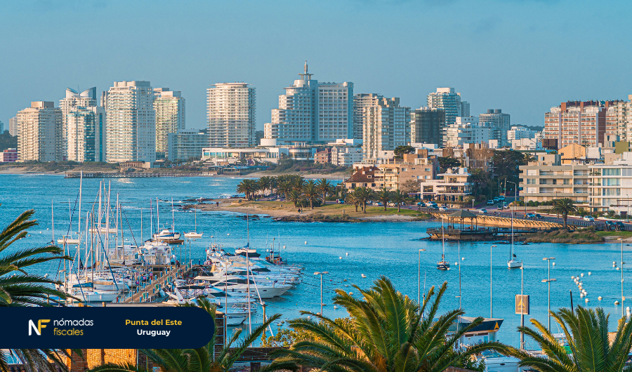 Panoramic view of Punta del Este, Uruguay, with modern buildings, palm trees and marina – attractive destination for crypto investors